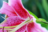 IMG_7893a