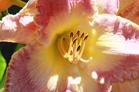 IMG_7902a