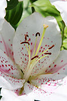 IMG_7909a