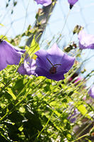 IMG_7916a