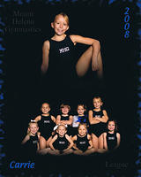 Carrie's League Team Photo