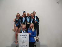 Level 3 - 1st Place - 2016 Glacier Challenge