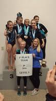 Level 3 - 1st Place - 2016 Glacier Challenge