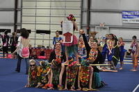 Level 4 and 5 - Best Dressed Team - 2015 Aloha Invitational