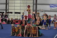 Level 4 and 5 - Best Dressed Team - 2015 Aloha Invitational