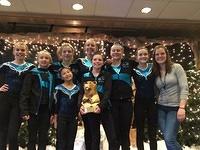 Level 6 - 5th Place - 2015 Great West Gym Fest