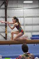 2014+01+25_Kalispell+Aloha+Mee-3042587457-O