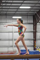 2014+01+25_Kalispell+Aloha+Mee-3042587817-O