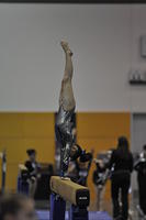 ShiJia Sullivan