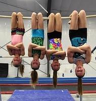 2014-2015 Level 4 Team