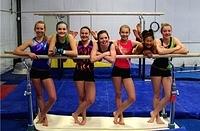 2014-2015 Level 6 Team