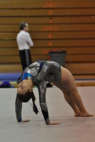 Previous Gymnasts