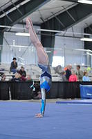 2014+02+01_MHG+Open_0962-3054588261-O