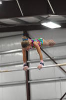 2014+01+25_Kalispell+Aloha+Mee-3042620039-O