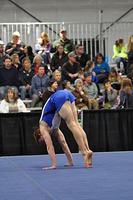 2014+02+01_MHG+Open_1620-3054634992-O