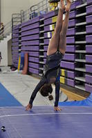 2015 01 24_Level 2_0258