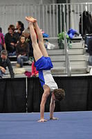 2014+02+01_MHG+Open_1548-3054628246-O