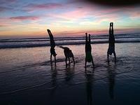 IMG_1803