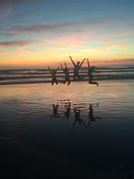 IMG_5571