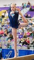 01232014-ir-spt-mthelenaopen-gymnastics-1a
