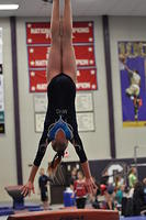 2015 01 23_Optionals_0011-1