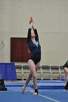 2015 01 23_Optionals_0030