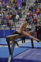 2015 01 23_Optionals_0224