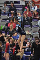 2015 01 23_Optionals_0310