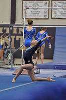 2015 01 23_Optionals_0415