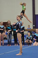 2015 01 23_Optionals_0491