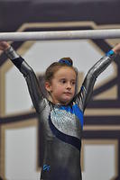 2015 01 24_Level 2_0041
