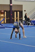 2015 01 24_Level 2_0180