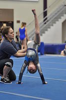 2015 01 24_Level 2_0215