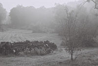 6813918-R1-005-1