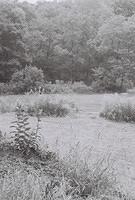 6813918-R1-011-4