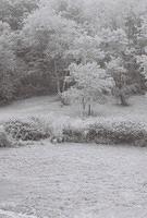 6813918-R1-015-6