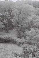 6813918-R1-017-7