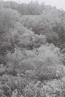 6813918-R1-019-8