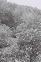 6813918-R1-021-9