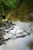 The creek that runs behind my grandparents house