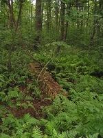 Img_1443