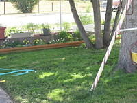 More of Mom's yard.