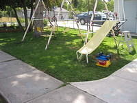 The yard.