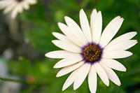 IMG_0035a.jpg