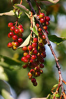 IMG_0275a
