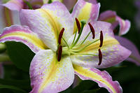 IMG_0286a