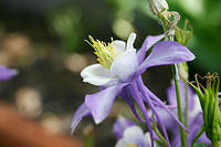 IMG_9705