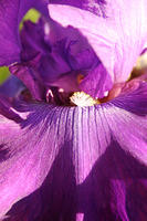 IMG_9737a