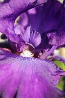 IMG_9738a