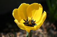 IMG_3808a